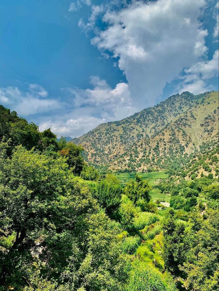 the mountains are covered in green trees and bushes, with blue skies above them on a sunny day