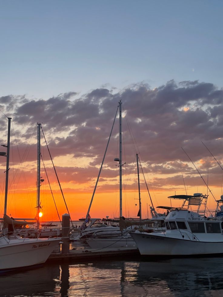 several boats are docked in the water at sunset