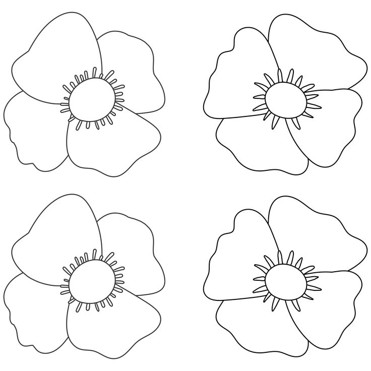 four different types of flowers that are outlined in black and white, each with one single flower