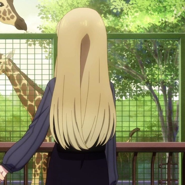 a giraffe standing next to a woman in front of a fenced area