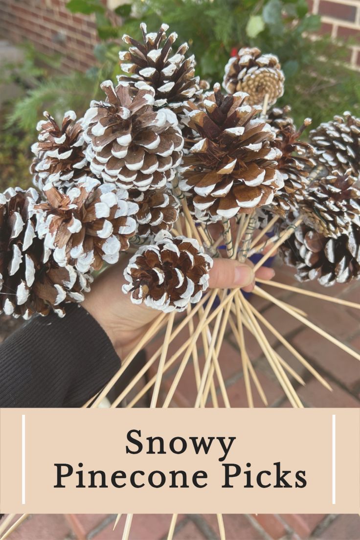 a person holding pine cones in their hand with the words snow cone picks on it