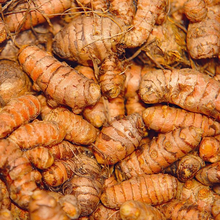 the roots of carrots are very large and brown