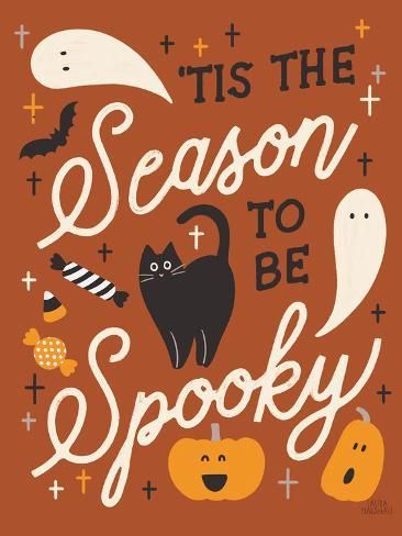 an orange poster with black cats and bats on it, says tis the season to be spooky