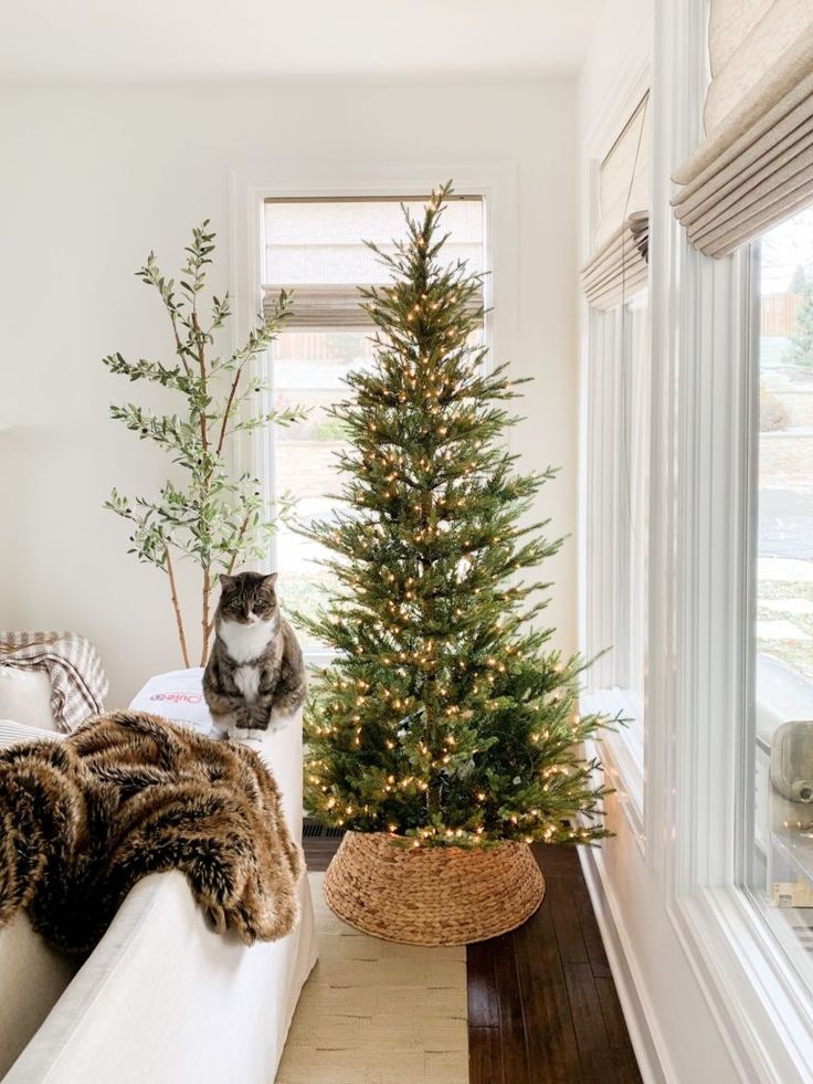 a cat sitting on the edge of a couch next to a christmas tree in a living room