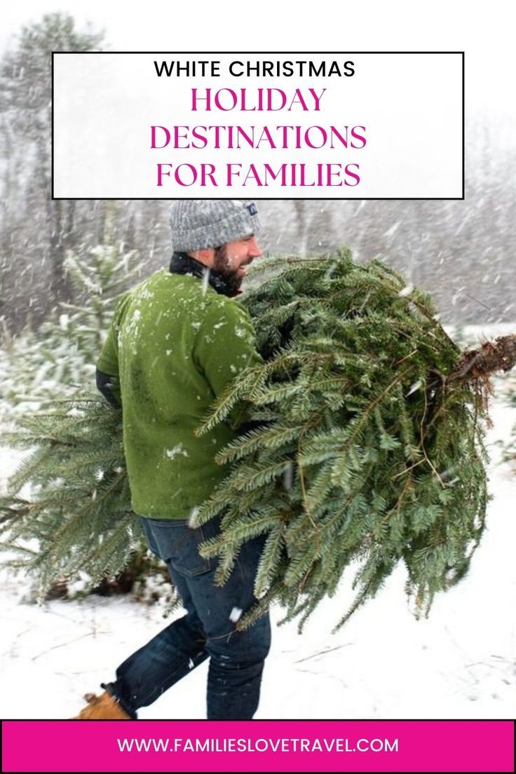 Man in green fleece and beanie at snowy Christmas tree farm carrying a freshly cut Christmas tree Christmas Getaways, Best Holiday Destinations, Christmas Destinations, A White Christmas, White Mountains, Snowy Mountains, Family Adventure, Magical Places, Holiday Destinations