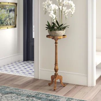 a potted plant sitting on top of a wooden stand in front of a doorway