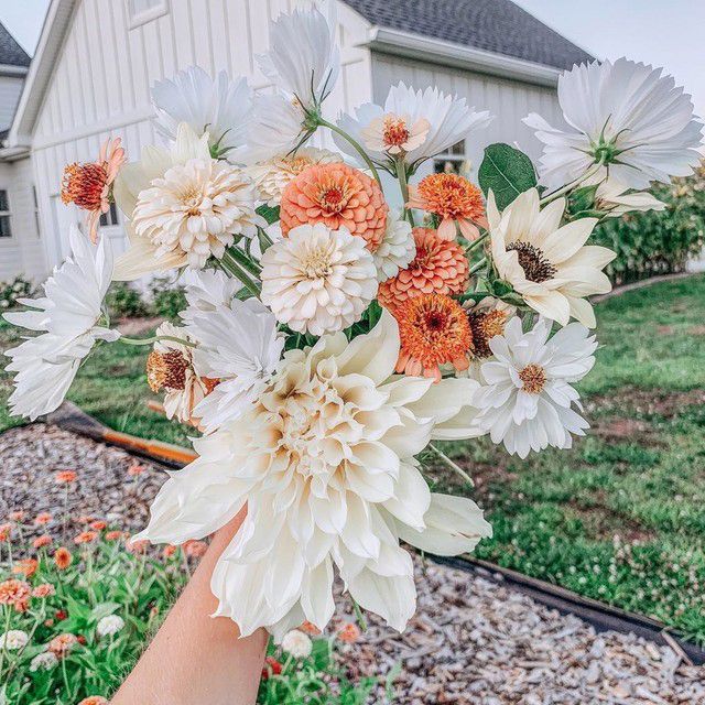 someone holding a bouquet of white and orange flowers in front of a house on a gravel driveway