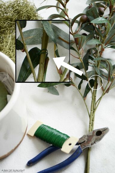 scissors are used to trim the stems of a plant