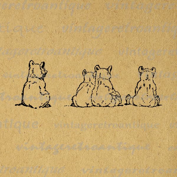 an image of three bears sitting on the ground