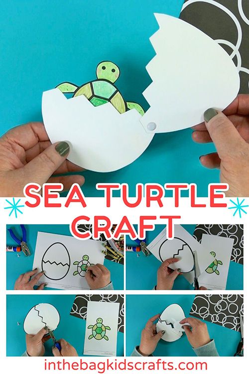 baby sea turtle craft for kids Easy Turtle Crafts For Preschoolers, Turtle Habitat Projects For Kids, Sea Turtle Craft For Toddlers, Turtle Craft Kindergarten, Sea Turtle Diorama For Kids, Preschool Sea Turtle Craft, Turtle Lesson Plans Preschool, Turtle Crafts For Toddlers, Sea Turtle Craft Preschool