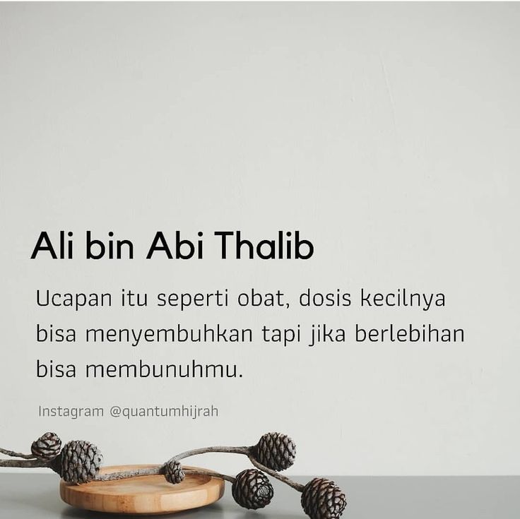 an advertisement with pine cones on a wooden plate and the words ali bin abi thaulib