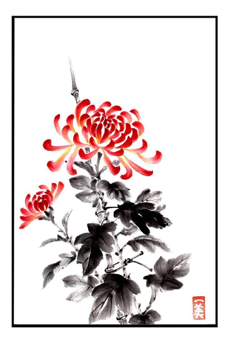 Chrysanthemum Japanese, Chrysanthemum Painting, Japanese Ink Painting, Sumi E Painting, Chinese Art Painting, Japanese Flower, Chinese Brush Painting, Asian Painting, Traditional Japanese Art