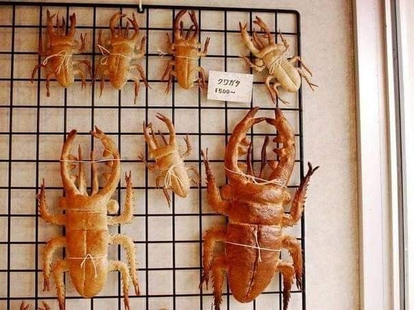 there are many different types of crabs on the rack