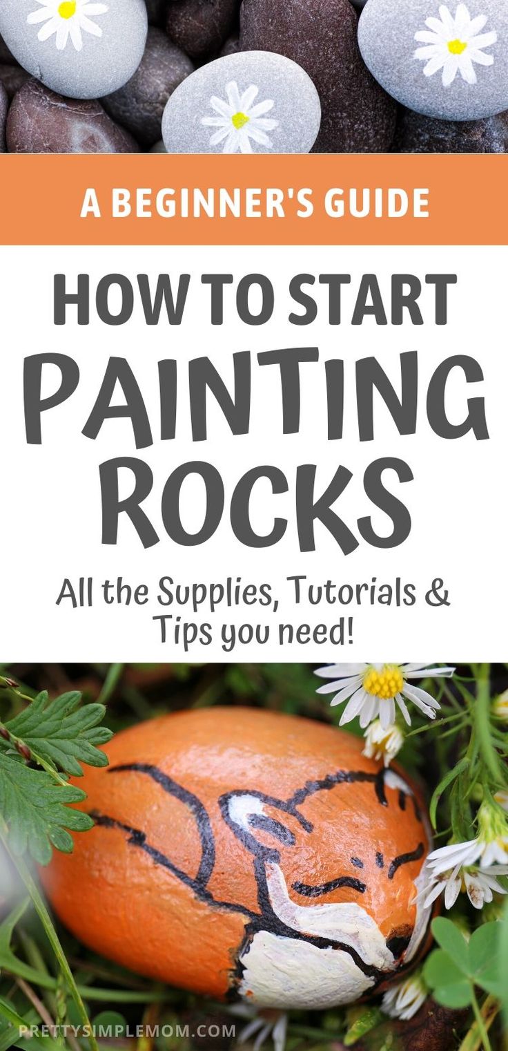 the beginner's guide to start painting rocks all the supplies, materials and tips you need