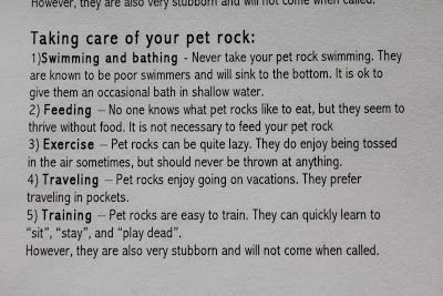 a close up of a piece of paper with writing on it that says, taking care of your pet rock