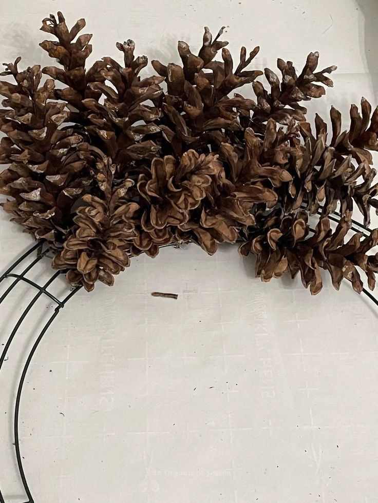 a bunch of pine cones sitting on top of a metal wire rack next to a white wall