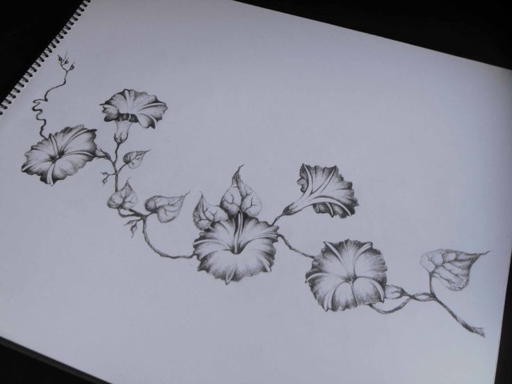 a drawing of flowers on a sheet of paper