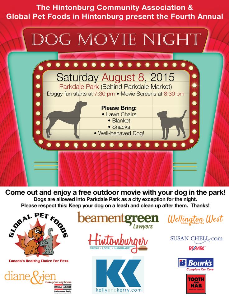 an advertisement for the dog movie night