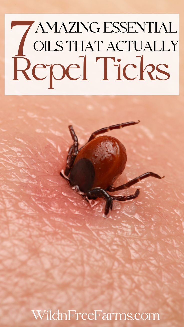 essential oil tick repellent Tick Repellent Essential Oils, Ticks On Humans, Tick Repellent For Humans, Homemade Tick Repellent, Tick Repellent For Dogs, Get Rid Of Ticks, Insect Repellent Essential Oils, Natural Tick Repellent, Diy Bug Repellent