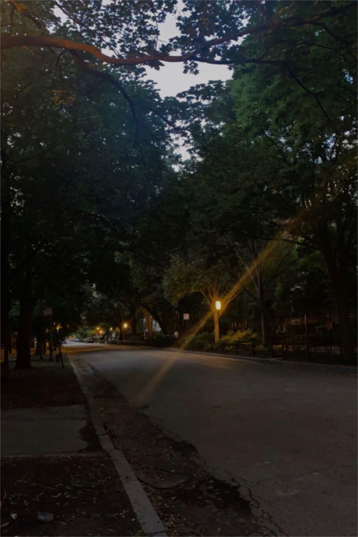 an empty street at night with the sun shining down on it and trees lining both sides