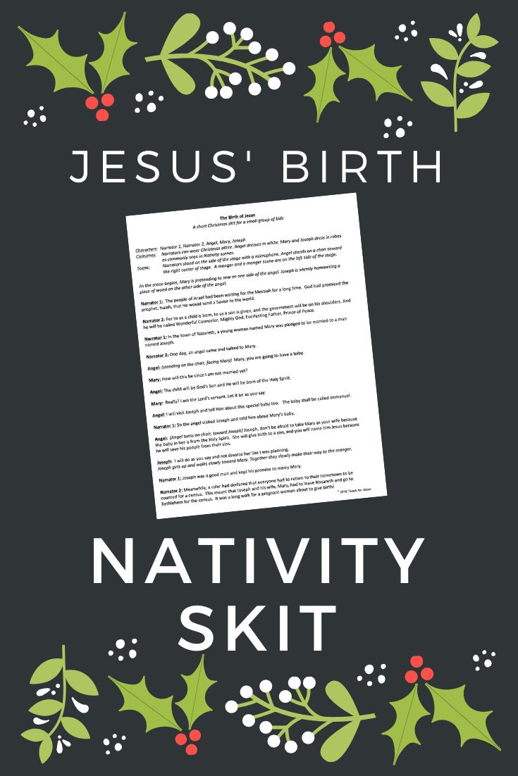 the nativity kit for jesus'birth with holly branches and holly leaves on it