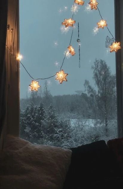 snowflakes hanging from a window in the winter