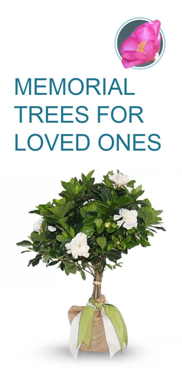 the memorial trees for loved ones are displayed in a vase with ribbon and bow on it