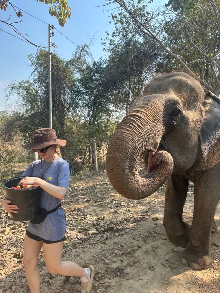 a woman is walking next to an elephant and holding a bucket with food in it