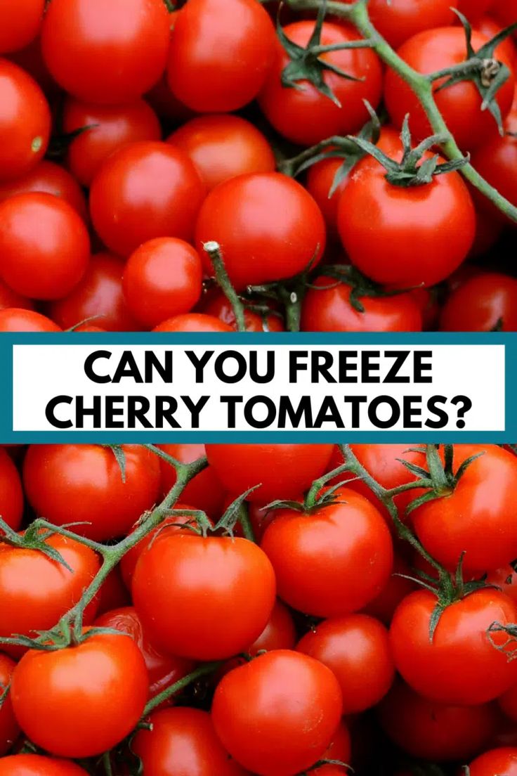 cherry tomatoes with the words can you freeze cherry tomatoes?