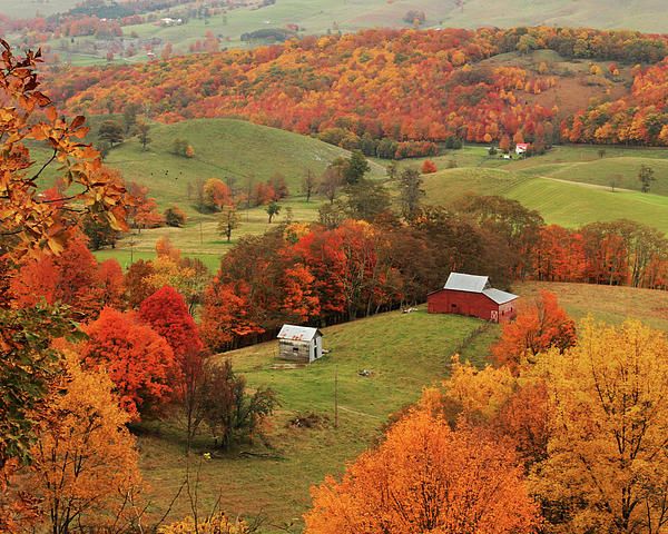 an aerial view of a farm surrounded by trees with fall foliage in the foreground