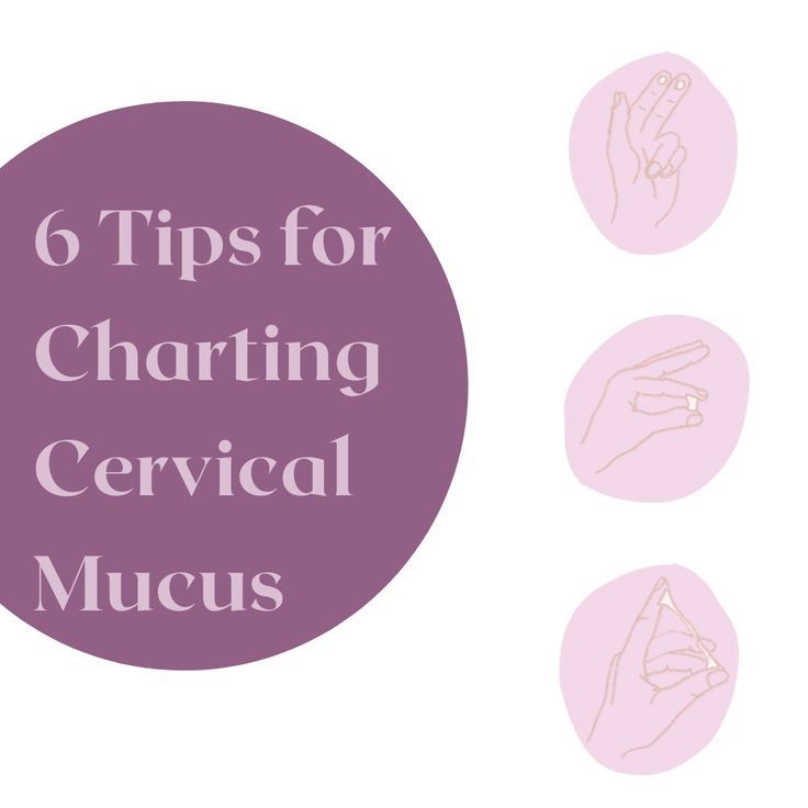 Learning to get comfortable with your cervical mucus observations takes consistency, but I promise you, one day it will feel like the lightbulb went off!💡
⠀⠀⠀⠀⠀⠀⠀⠀⠀
I think we make it WAY harder than it needs to be when charting our CM patterns.
⠀⠀⠀⠀⠀⠀⠀⠀⠀
All of the books and FAM resources describe infertile + fertile cervical mucus a bit differently. So I want you to just focus on the basics: Cervical Mucus, Fertility Awareness, Balance Hormones Naturally, Take Care Of Your Body, Hormone Imbalance, I Promise You, Hormone Balancing, Fertility, Take Care Of Yourself