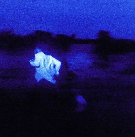 a blurry image of a person sitting in the grass at night with an animal projected on it's back