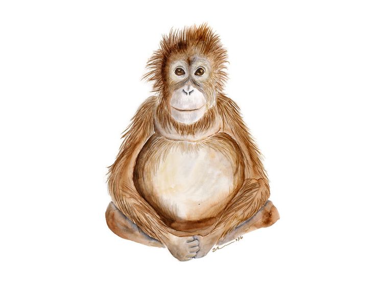 a watercolor painting of a monkey sitting on the ground with its hands in his pockets