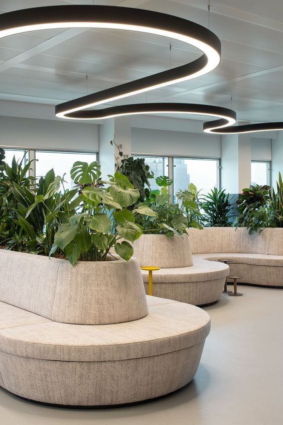 an office lobby with round seating and plants