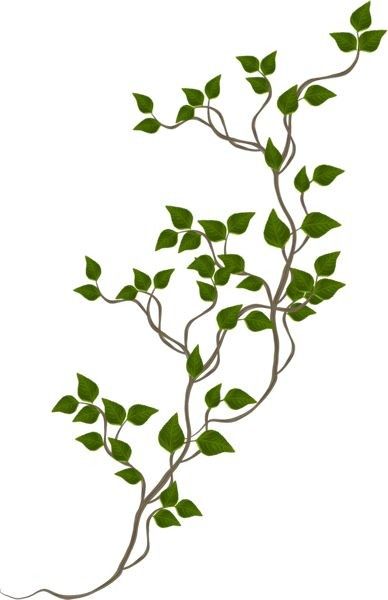 a branch with green leaves on it