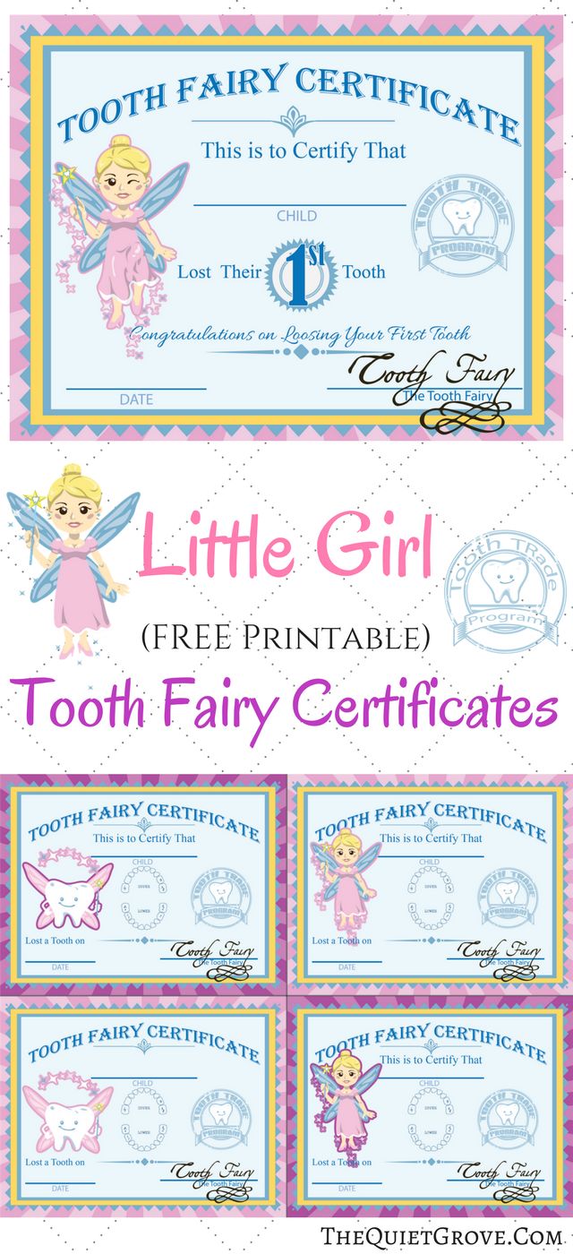 the tooth fairy certificate is shown in pink and blue