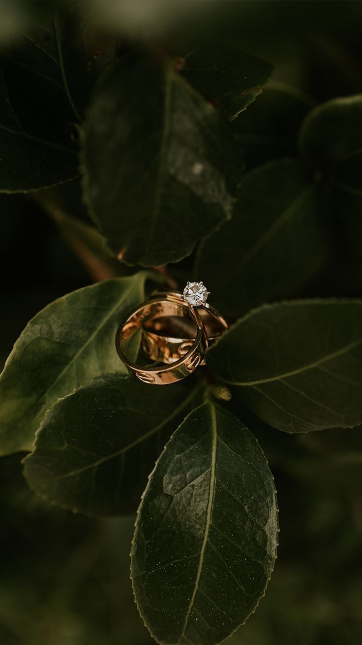 two wedding rings sitting on top of green leaves