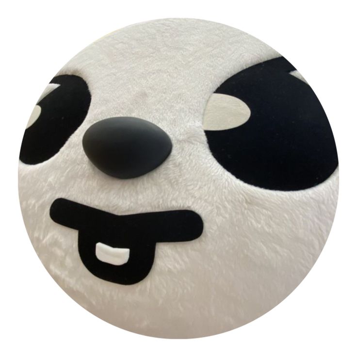 a close up of a panda face on a white background