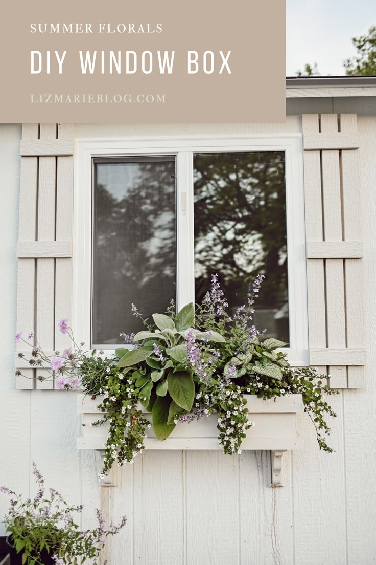 an open window with plants growing out of it