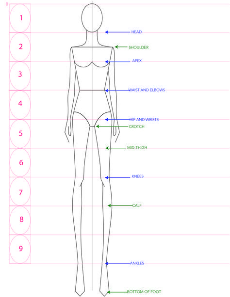 a drawing of a female mannequin's body with measurements for each section