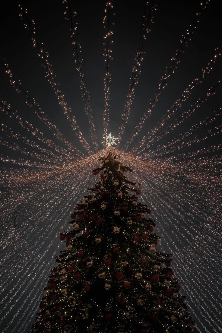 a large christmas tree is lit up with lights and snowflakes in the night sky