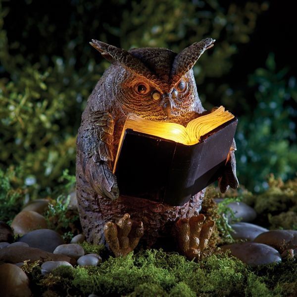 an owl is sitting on the ground reading a book with its eyes open and glowing