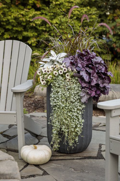 a potted plant sitting on top of a stone floor next to two white chairs