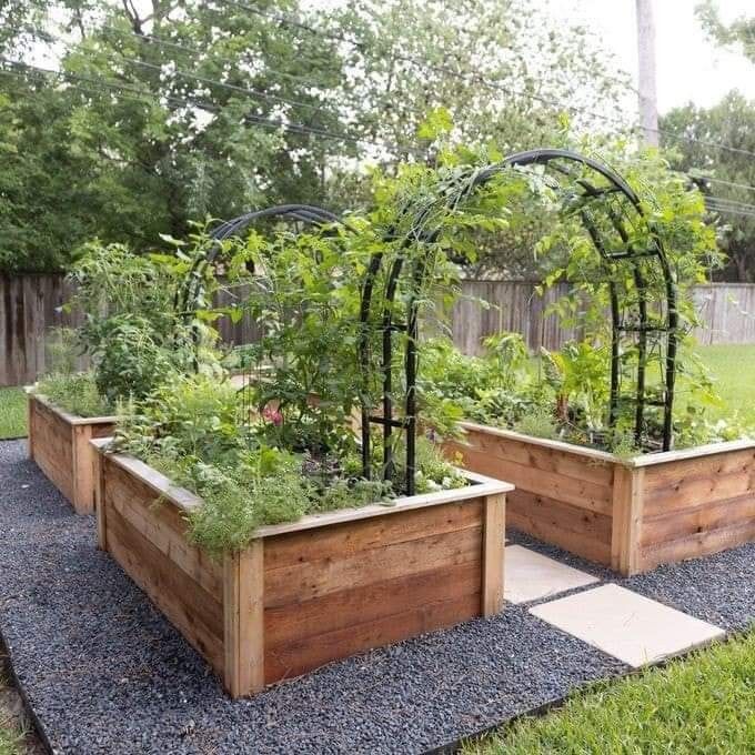 three wooden planters with plants growing in them