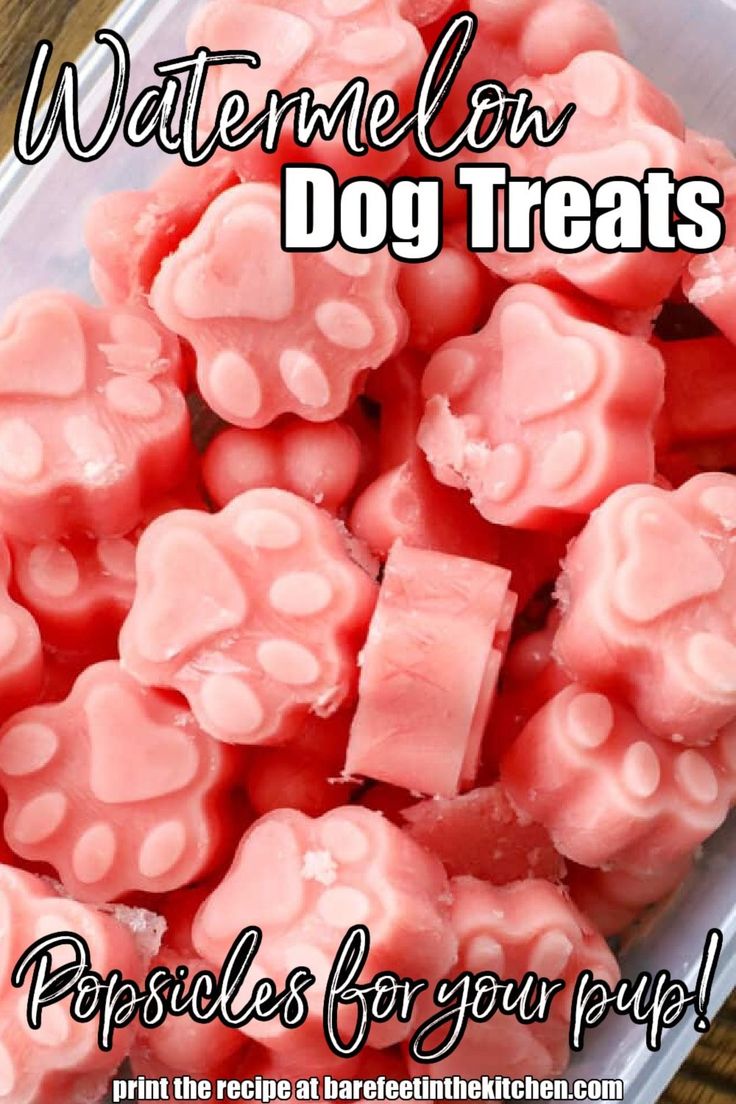 a plastic container filled with watermelon dog treats on top of a wooden table