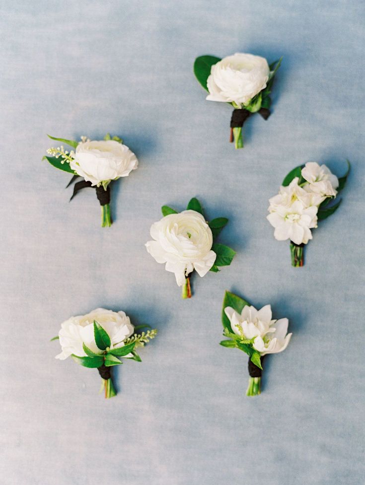 white flowers are arranged on a blue surface