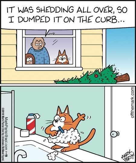 a comic strip with an image of a cat in the window and another cartoon that says, it was shedding all over so i dumped it on the curb