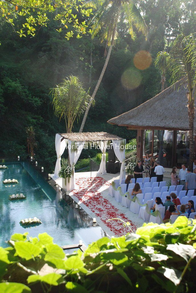 an outdoor wedding setup with white chairs and red flower petals on the aisle, surrounded by greenery