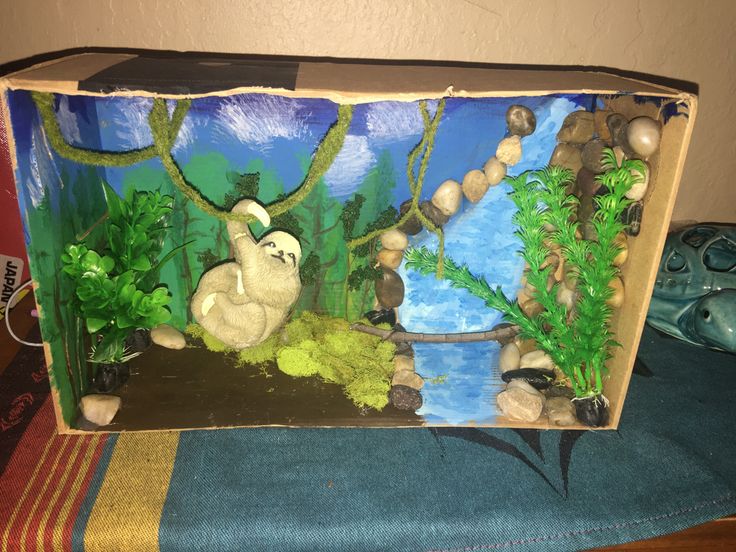 an aquarium with rocks and plants in it