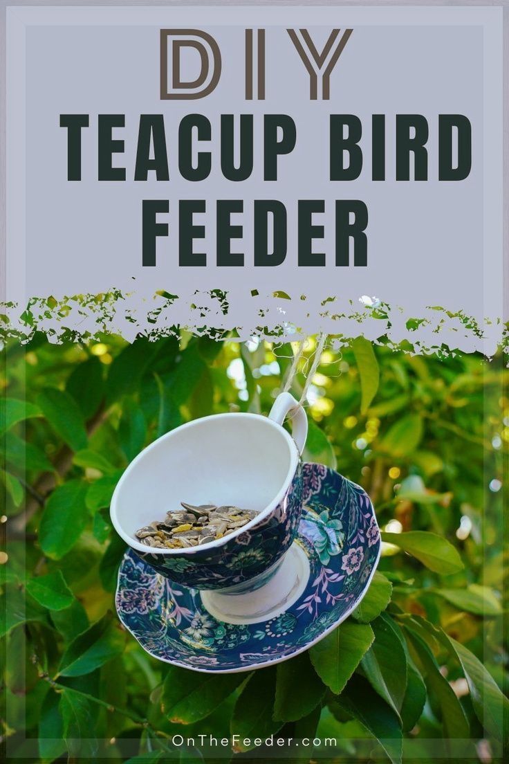 teacup bird feeder hanging from a tree with the words diy teacup bird feeder above it